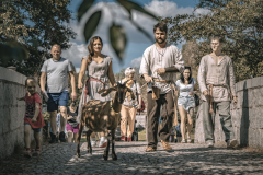 WEEKEND ZE ZWIERZĘTAMI